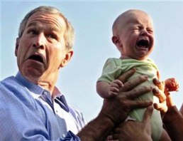 Bush with babies