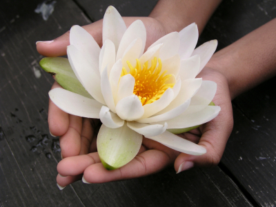 Eckhart Tolle's Books and Tapes